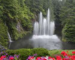 The Ross Fountain also steals the attraction of the visitors with its beautiful white color in between numerous green trees and shrubs that surround t